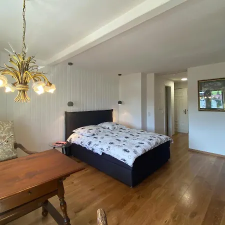 Ferienparadies Im Alten Pfarrhaus - Fewos Fuer 2 - 6 Personen - Gartensauna - Parkplaetze Apartmán